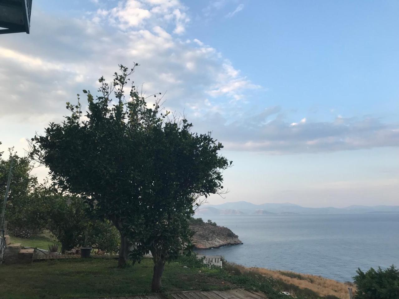 Villa Castle Sea View Parálion Ástros Екстериор снимка